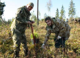 35.02.01 Лесное и лесопарковое хозяйство.